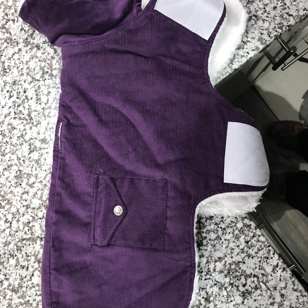 Canine Styles Purple Corduroy Dog Coat